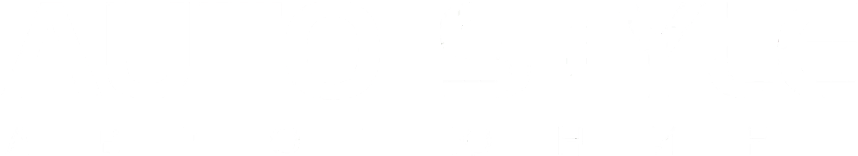 Auto Style